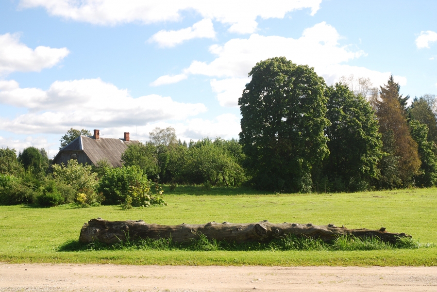 Vecais koks lauku sētā papildina ainavu un uztur dabas daudzveidību, kalpojot par dzīvotni sīkbūtnēm un barotni putniem.
Autors: no Latvijas Dabas fonda albuma