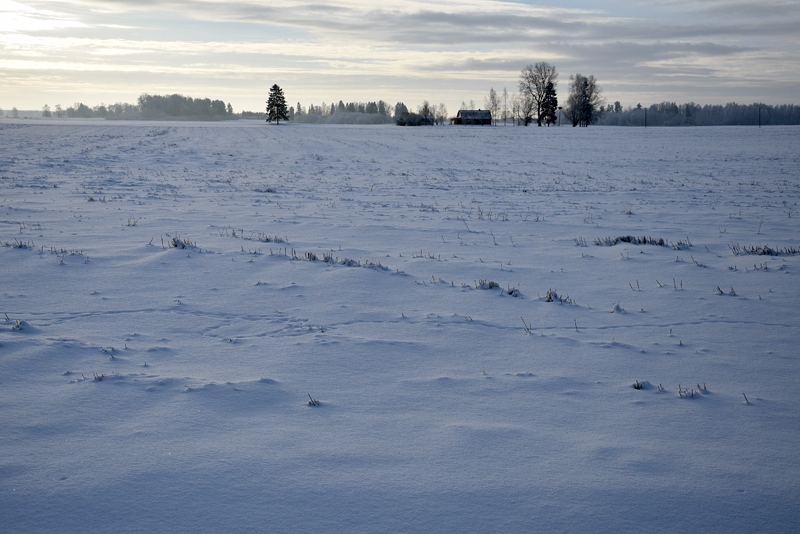 Autors: Ivars Bogdanovs