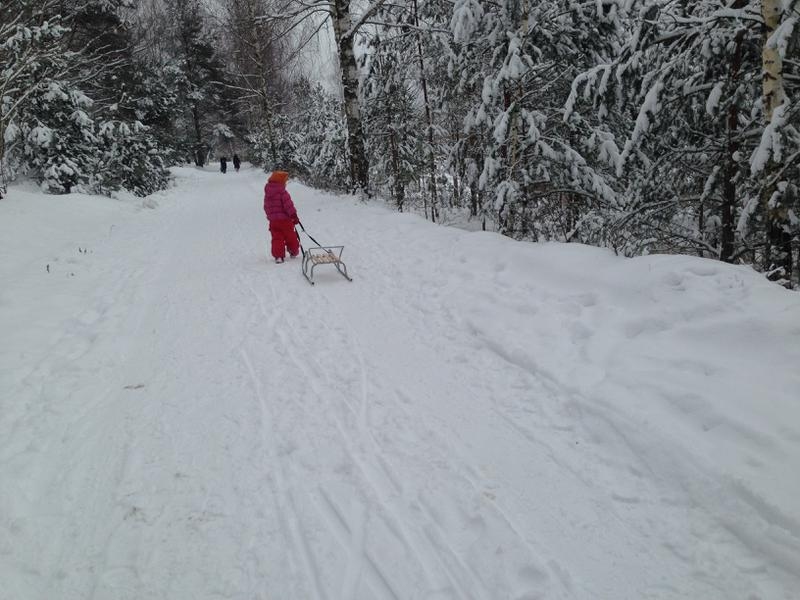 Autors: www.bauskasdzive.lv