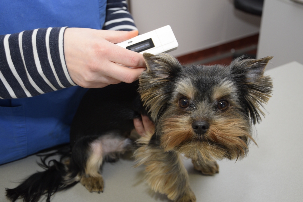 Autors: Ivars Bogdanovs