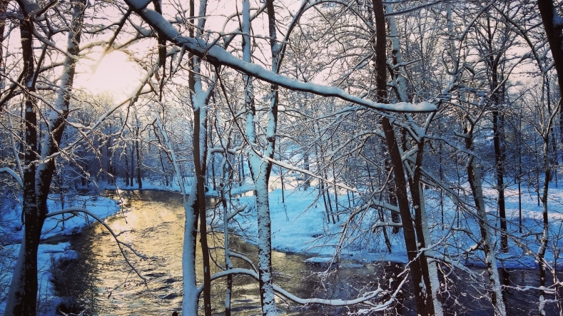 Autors: Betija Celitane