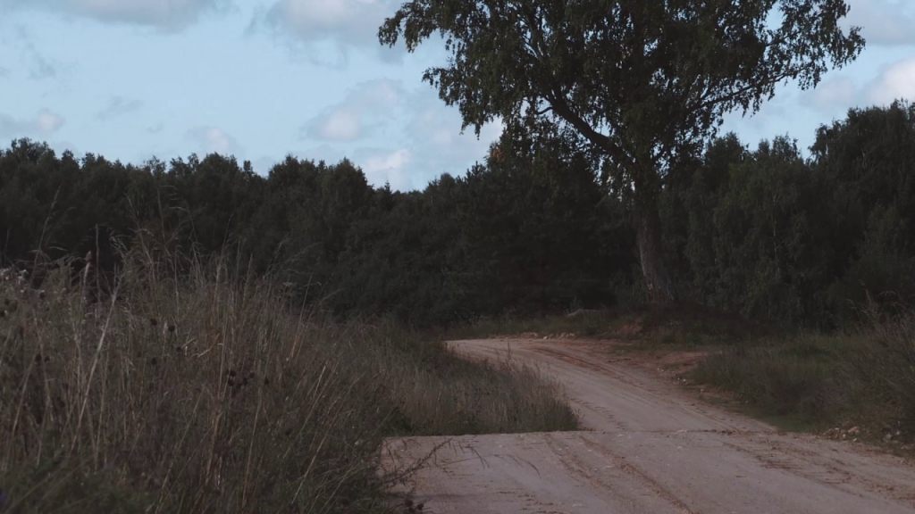 Autors: ainavasruna.lv