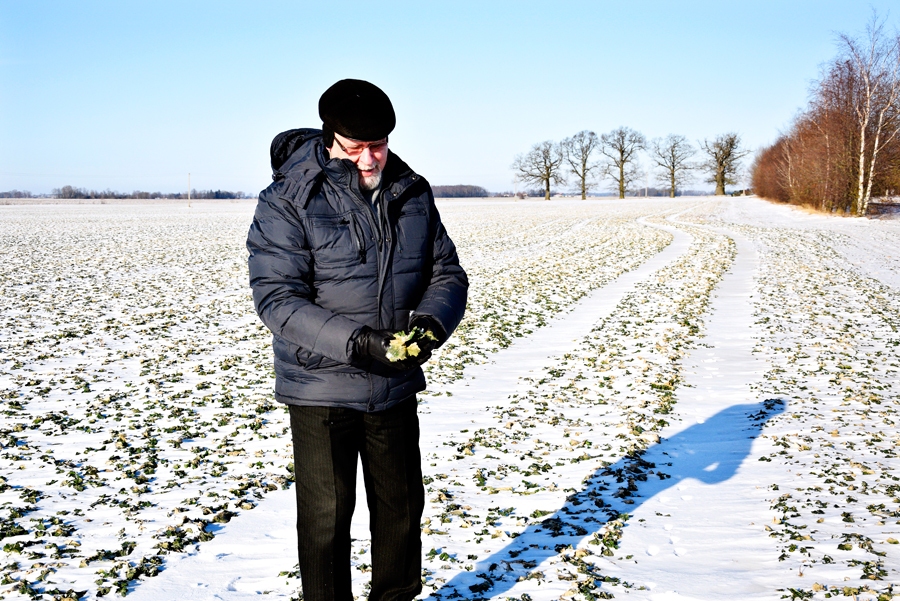 Raimonda Kazbuķa, Rundāles novada zemnieka, laukos ziemāji līdz šim pavasari gaida bez problēmām, jo ir neliela sniega kārta un sals nav pārāk liels.
Autors: Ivars Bogdanovs