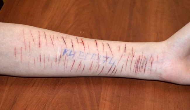 Fotoattēlam ilustratīva nozīme.