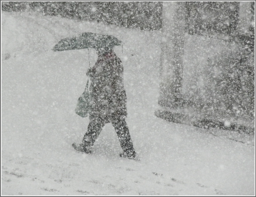 Autors: wordpress.com