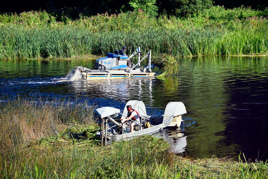 Upju izpļaušanas procesā pērn iesaistījās divi agregāti – viens zāles pļāva, otrs bija aprīkots ar agregātu nopļautās masas izvākšanai no ūdens. Ne viss izdevās, kā plānots, jo darbu laikā lietavu dēļ upēs būtiski cēlās ūdens līmenis un daļa nopļauto ūdensaugu ar straumi tika nesti tālāk, pirms tos paspēja savākt nopļaušanas vietā. Taču lielākā daļa nopļauto ūdensaugu tika izvākti, un projekta mērķis sasniegts, apgalvoja Bauskas pašvaldībā.
Autors: Ivars Bogdanovs