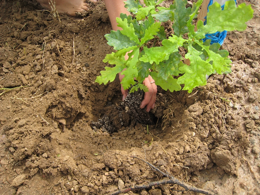 Fotoattēlam ilustratīva nozīme.
Autors: llu.lv