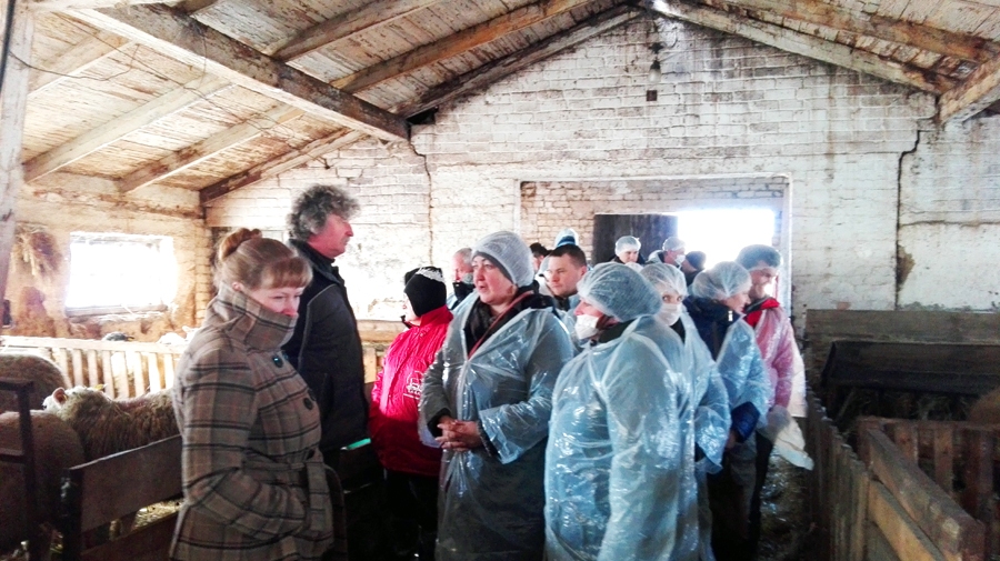 Mūspuses zemnieki Lietuvas saimniecībā iepazina vairāku šķirņu aitu turēšanu.
Autors: no LLKC albuma