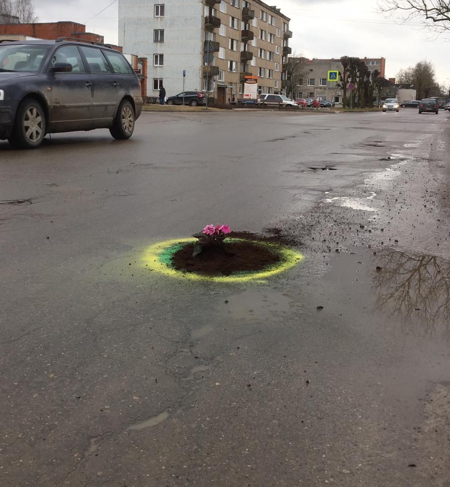 Dārza ielas brauktuves bedrē grupas «Audi Bauska» pārstāvji iestādīja puķi.
Autors: No albuma.