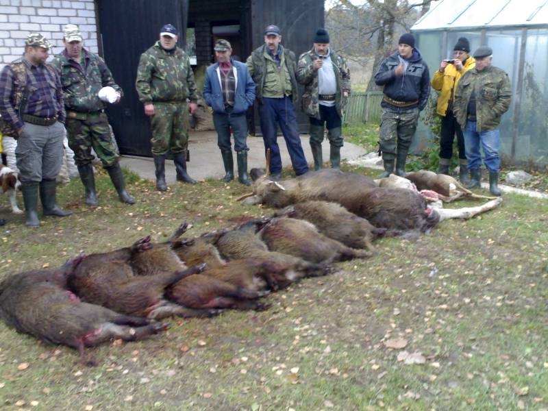 Autors: medniekiem.lv