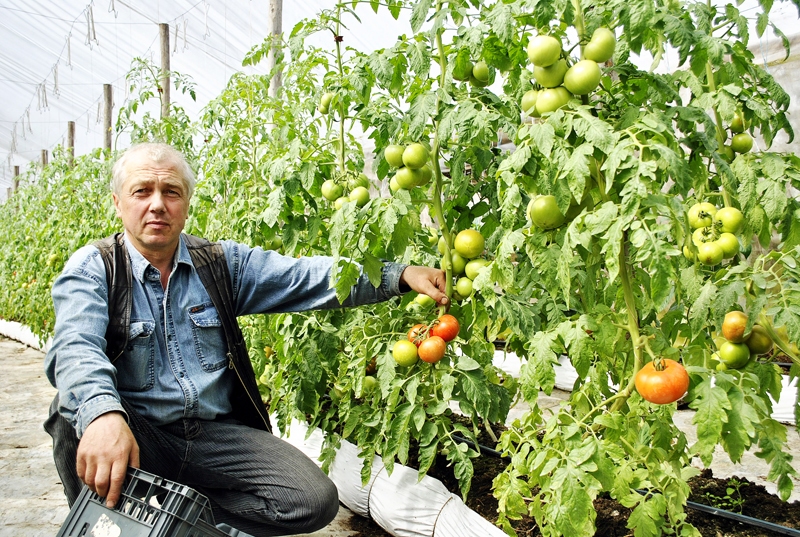 Andris Bite.
Autors: no «Bauskas Dzīves» arhīva