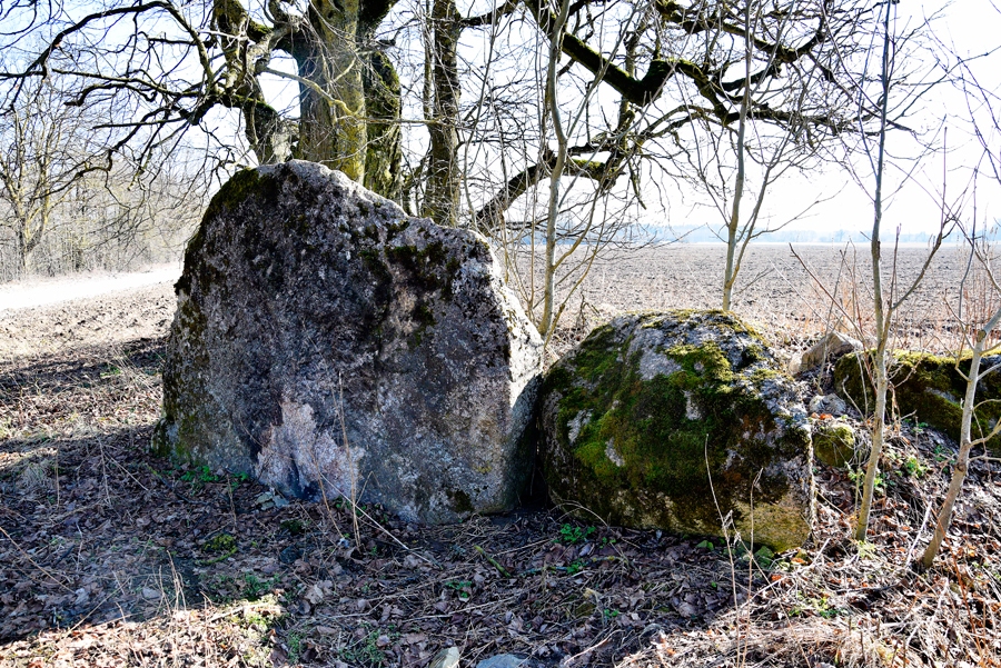 Dižā liepa un akmens Iecavas upes otrā krastā varētu būt daļa no kādreizējās senču kulta vietas, uzskata novadpētnieks.
Autors: Ivars Bogdanovs