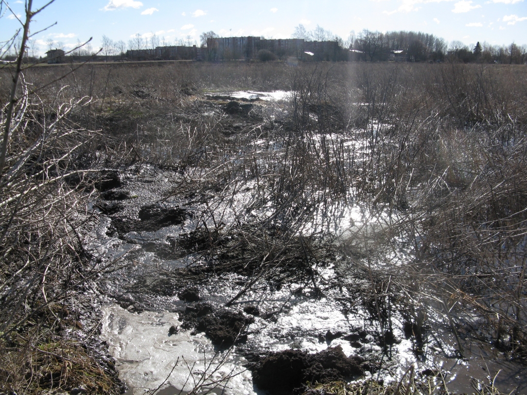 Ievērojot lielos šķidrmēslu apjomus, ir radīts nopietns lauka piesārņojums, jo pārsniegtas pieļaujamās mēslošanas normas.
Autors: Valsts vides dienests