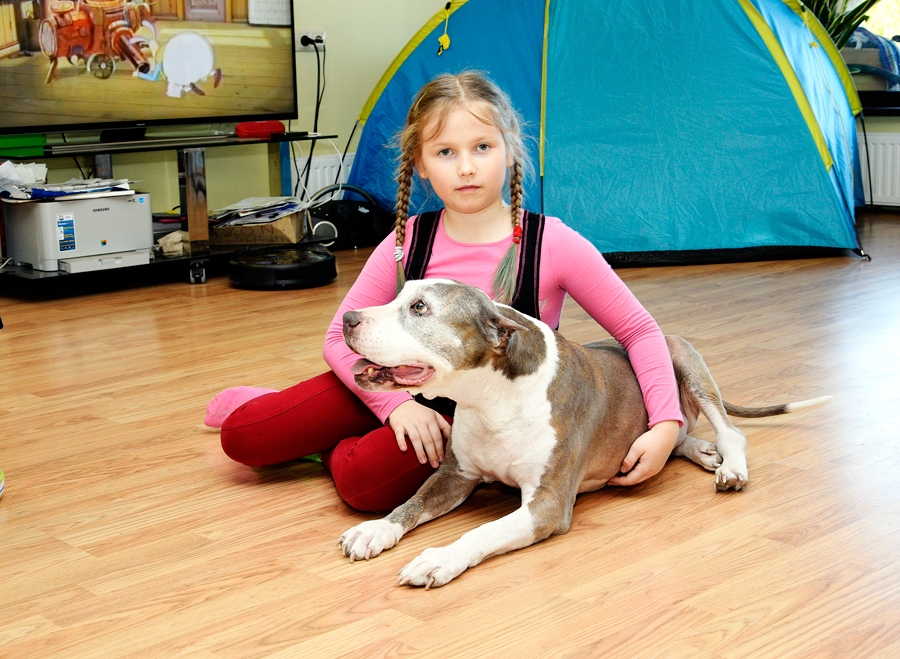 Elza Vēvere uzaugusi kopā ar amerikāņu Stafordšīras terjera kucīti Alisi.
Autors: Ivars Bogdanovs