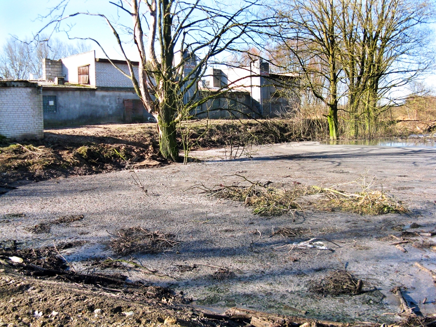 Kūtsmēslu lagūnas ir pārpildītas, tāpēc piesārņojums nonāk apkārtējā vidē.
Autors: no albuma.