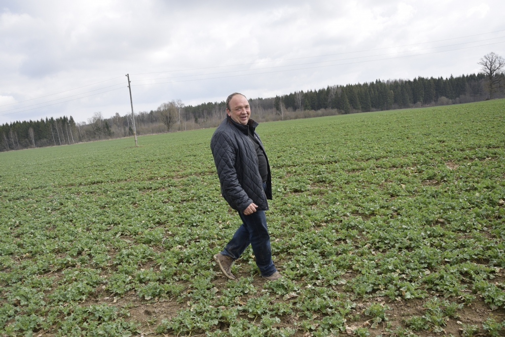 Andris Grantiņš priecājas par labi pārziemojušajiem rapšiem.
Autors: Ivars Bogdanovs