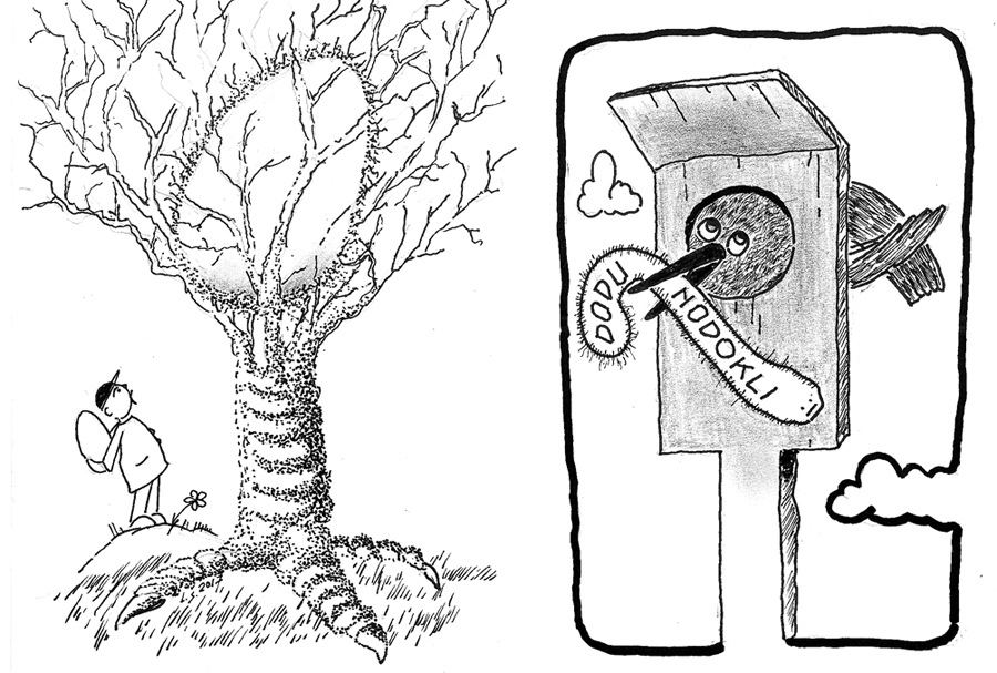 Aluksniesiem.lv raksta attēla aizvietotājs