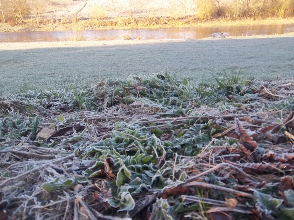 Autors: www.bauskasdzive.lv