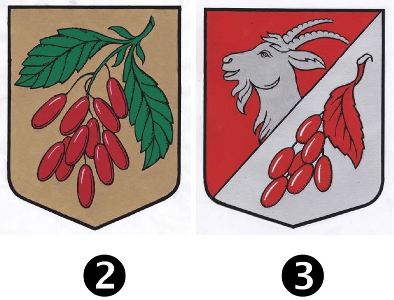 Autors: vecumnieki.lv