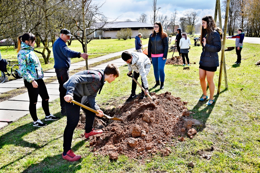 Rainers Purvs (no kreisās) ar klasesbiedriem stāda kokus Uzvaras centrā.
Autors: Ivars Bogdanovs