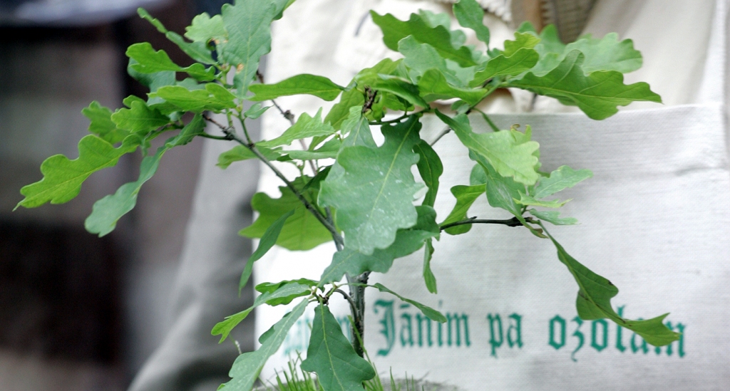 4.maijā 45 pierobežas pašvaldībās visā Latvijā stādīs ozolus, tā iesaistoties akcijā Apskauj Latviju.