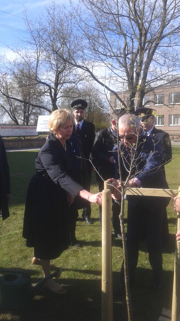 Autors: www.bauskasdzive.lv