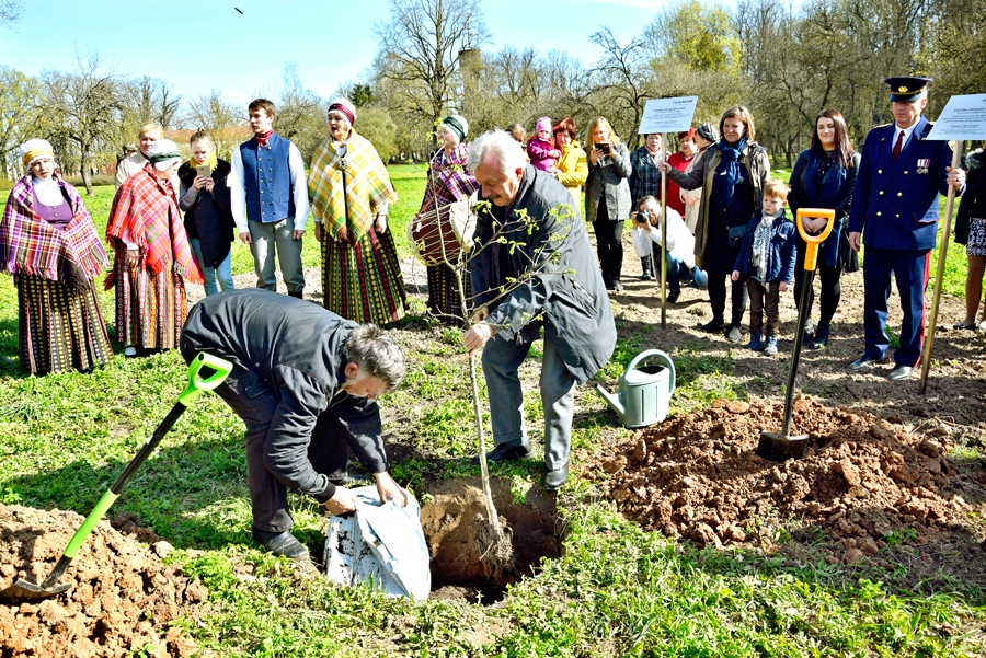Svitenes muižas parkā simtgades ozolu stāda Rundāles pils muzeja direktors Imants Lancmanis (no labās) un vietējā pagasta pārvaldnieks Jānis Liepa.
Autors: Ivars Bogdanovs