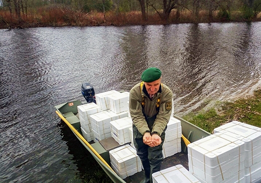 Autors: copeslietas.lv