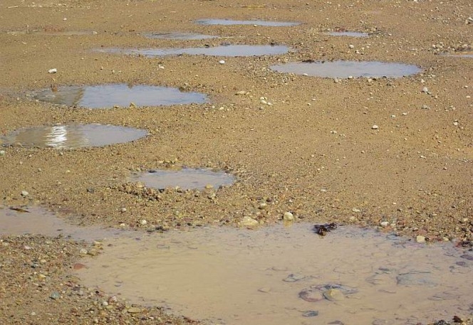 Fotoattēlam ilustratīva nozīme.
Autors: la.lv