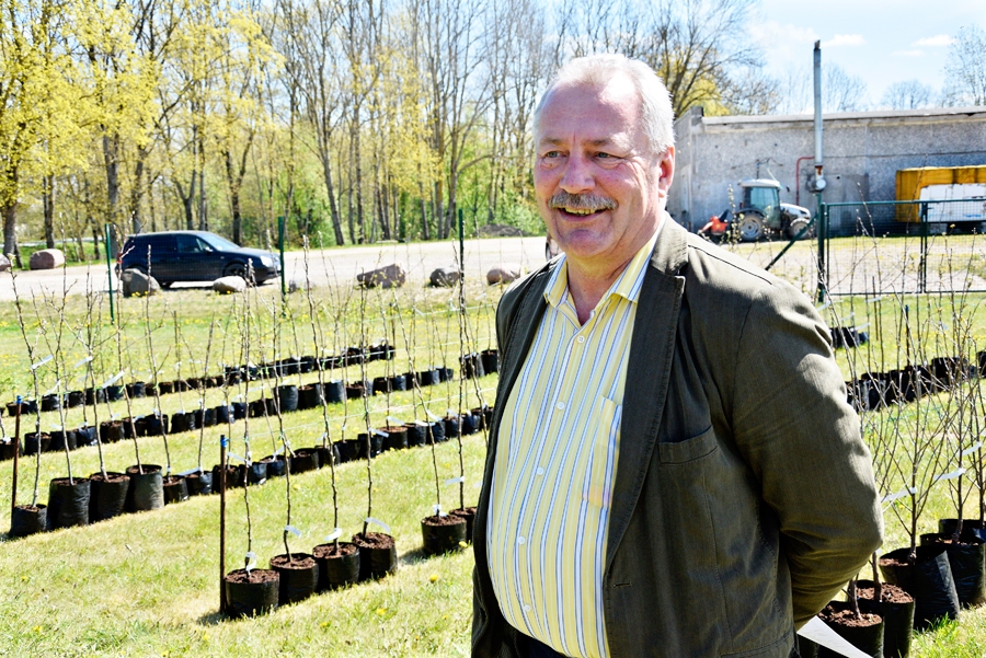 «Lepšu» saimnieks Aivars Upenieks atklāj, ka ieplānojis pilnu placi dabūt ar bagātīgu sortimentu – gan skujeņiem, gan košumkrūmiem, gan augļu kokiem un citiem stādiem. Stādu tirdzniecība būs pieejama, cik to sezona ļaus.
Autors: Ivars Bogdanovs