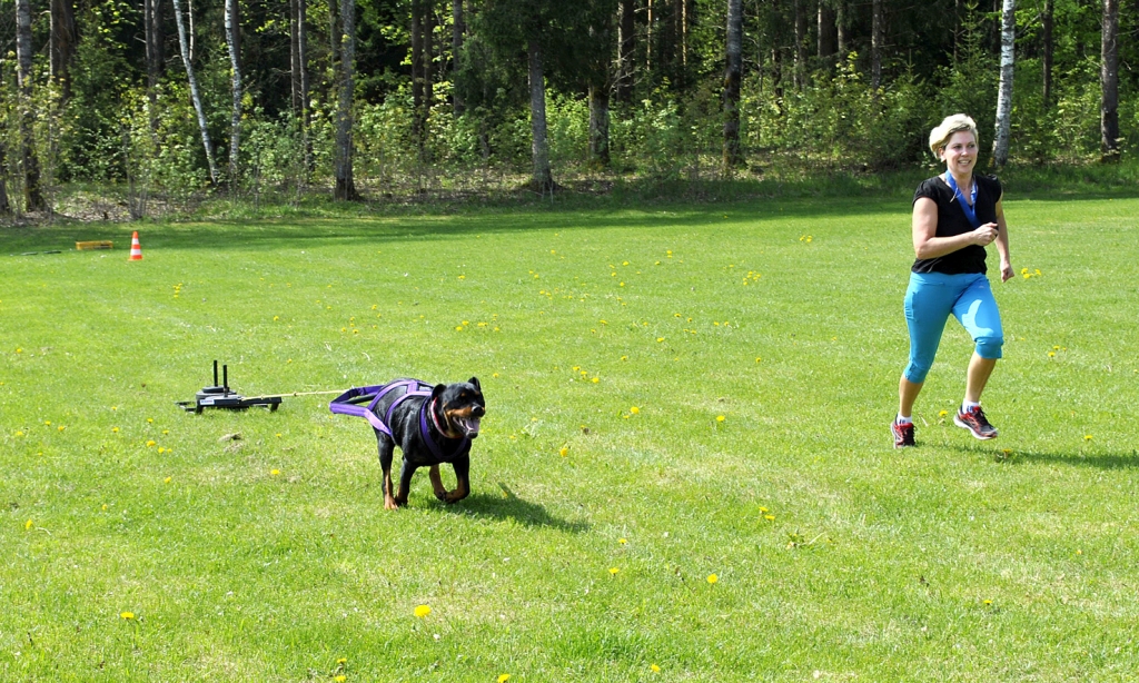 Aina Korņejeva «palīdz» Okai sasniegt finišu.
Autors: Vilnis Auzāns