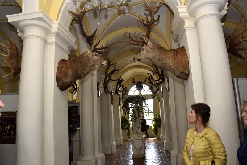 Autors: Ivars Bogdanovs