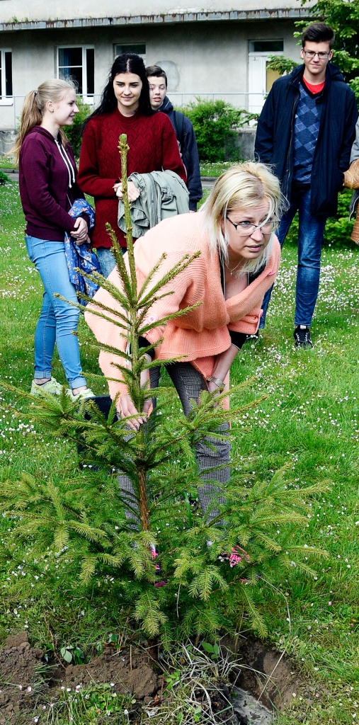 Gita Granta-Vanaga iedvesmojusi jauniešus eglītes stādīšanai.
Autors: Ivars Bogdanovs