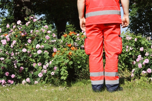 Autors: http://www.nmpd.gov.lv