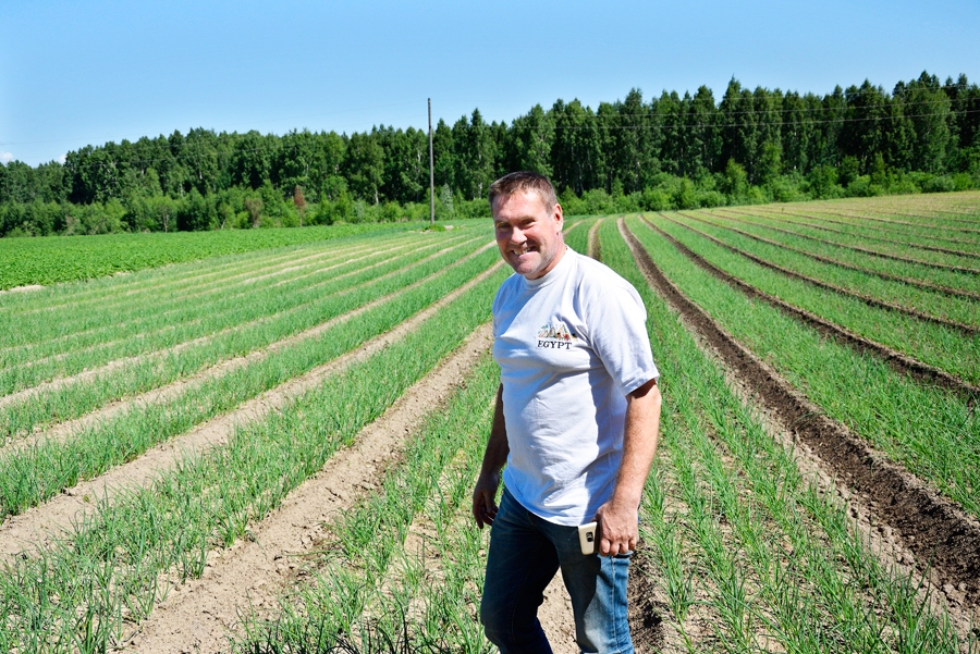 Gints Liepiņš sīpolu laukā secina, ka kultūraugu nobriešana aizkavējusies.
Autors: Ivars Bogdanovs