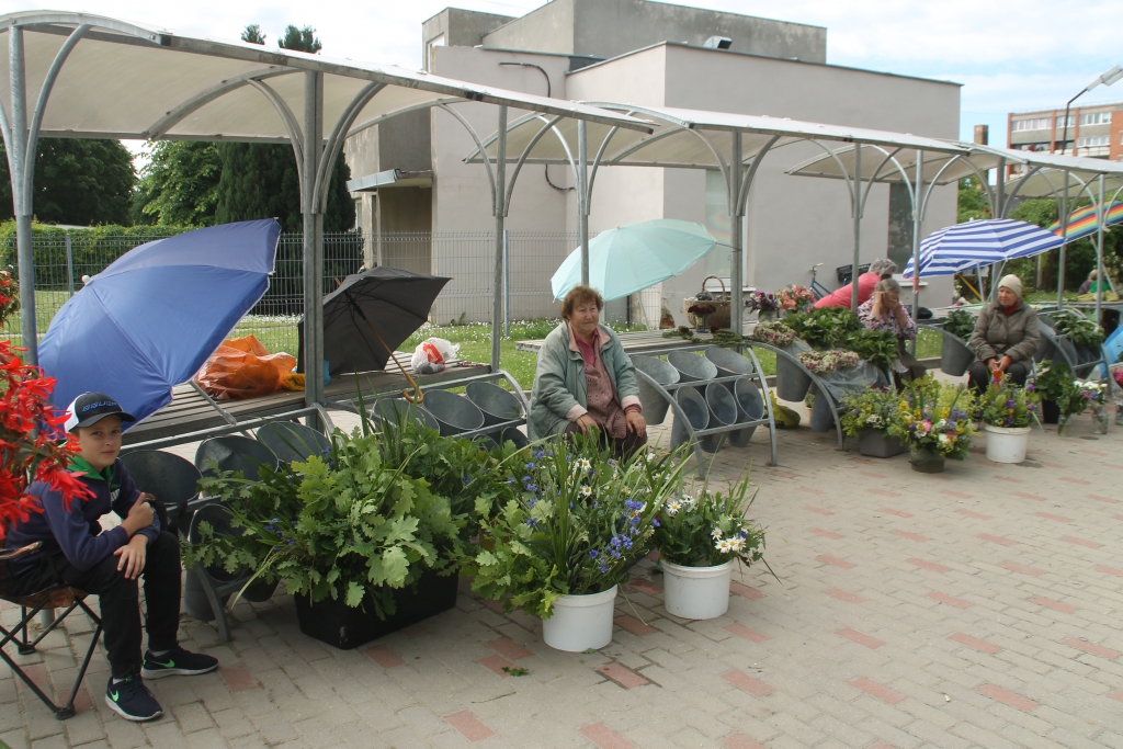 Roberts Jānis Briedis (no kreisās) un Hermīne Briede ziedus vāca savā dārzā.
Autors: Uldis Varnevičs