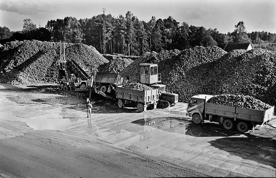 Cukurbiešu pieņemšanas punkts Iecavā 90. gadu sākumā. Foto
Autors: no «Bauskas Dzīves» arhīva
