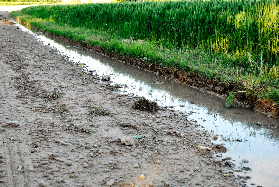 Kas tas ir – ceļa labošana, uzturēšana vai, veidojot tam gar malām silei līdzīgus vaļņus, brauktuves sabojāšana?
Autors: Vilnis Auzāns
