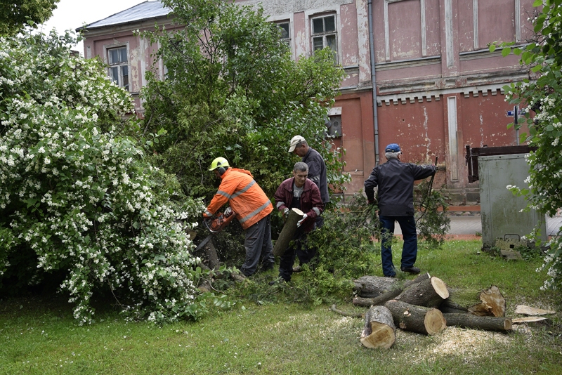 SIA «Vides serviss» strādnieki sagatavo teritoriju Pasta un Rīgas ielas krustojumā piemiņas vietas «Sinagogas dārzs» izveidei.
Autors: Ivars Bogdanovs