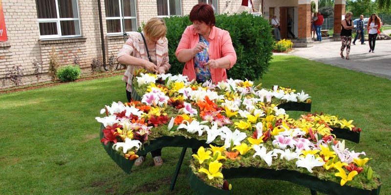 Autors: vecumnieki.lv