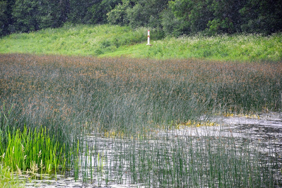 Grenctālē Mūsa ir pārdesmit metru platumā, nošķir ne tikai divas valstis, bet arī divas iekšlietu sistēmas, kuru sadarbība nav vienkārša.
Autors: Ivars Bogdanovs