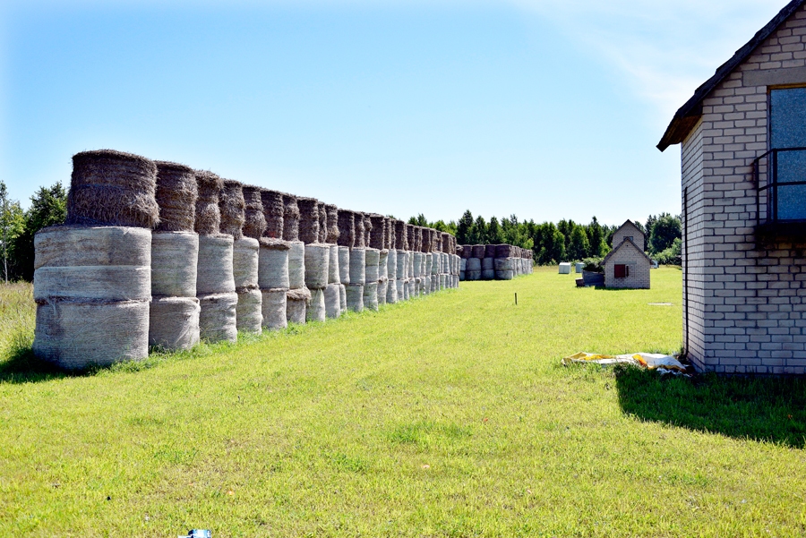 Biedrība «Sporta klubs «Bauskas zemgaļi»» ir izpildījusi pašvaldības noteiktos nosacījumus par trokšņa mazināšanu – uzstādīta salmu ruļļu siena.
Autors: Ivars Bogdanovs