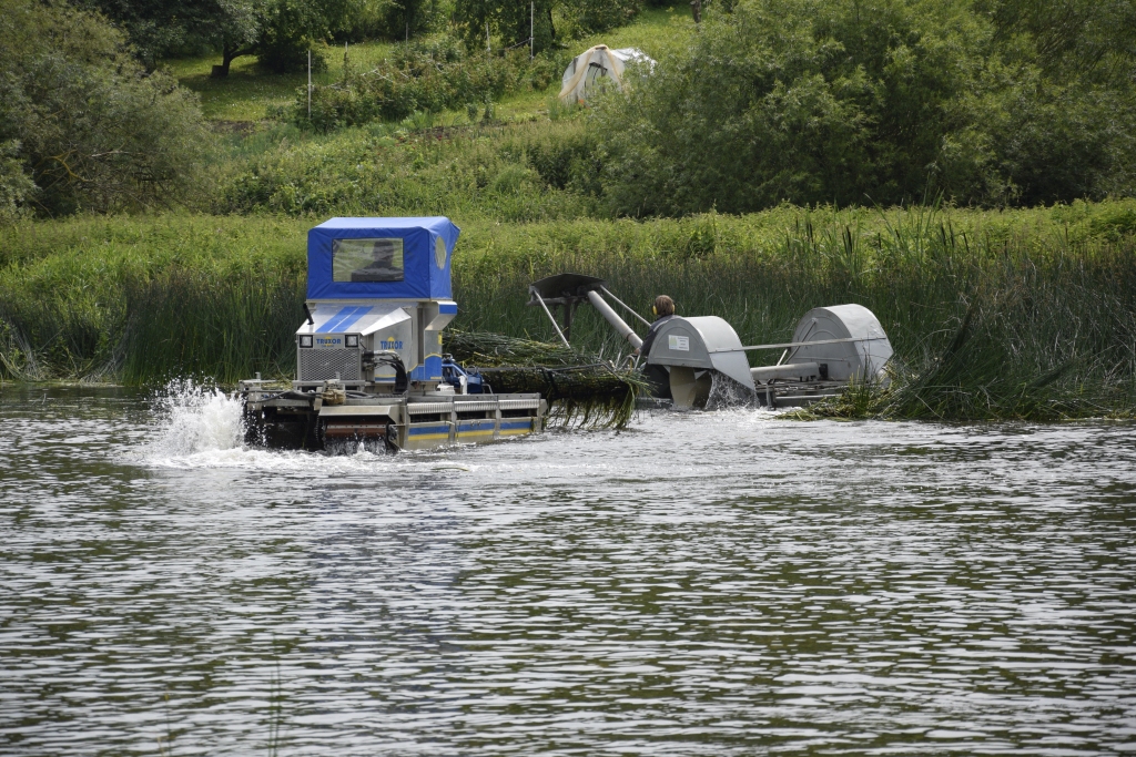 Arī šogad darbus līdzīgi kā pērn veic divas tehnikas vienības. Ar vienu pļauj, ar otru izvāc.
Autors: Ivars Bogdanovs