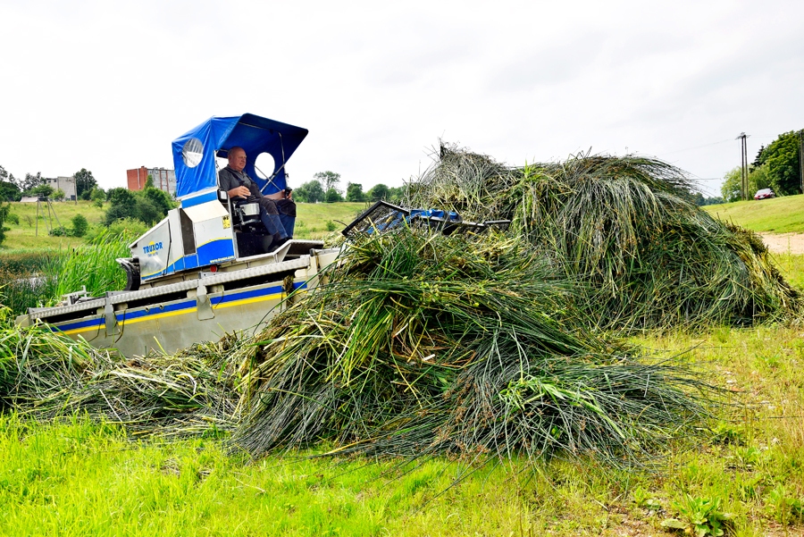 Izpļauto zāli izvedīs SIA «Vides serviss».
Autors: Ivars Bogdanovs