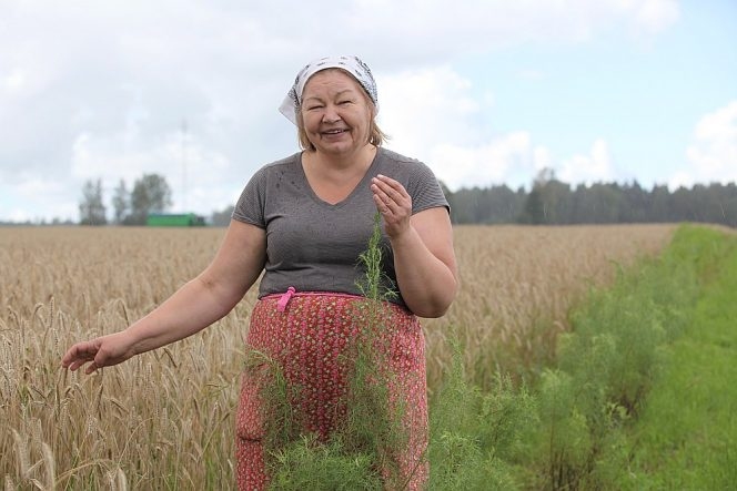 Vidzemes saimniecības «Silkalni» īpašniece Zeltīte Kaviere.
Autors: la.lv