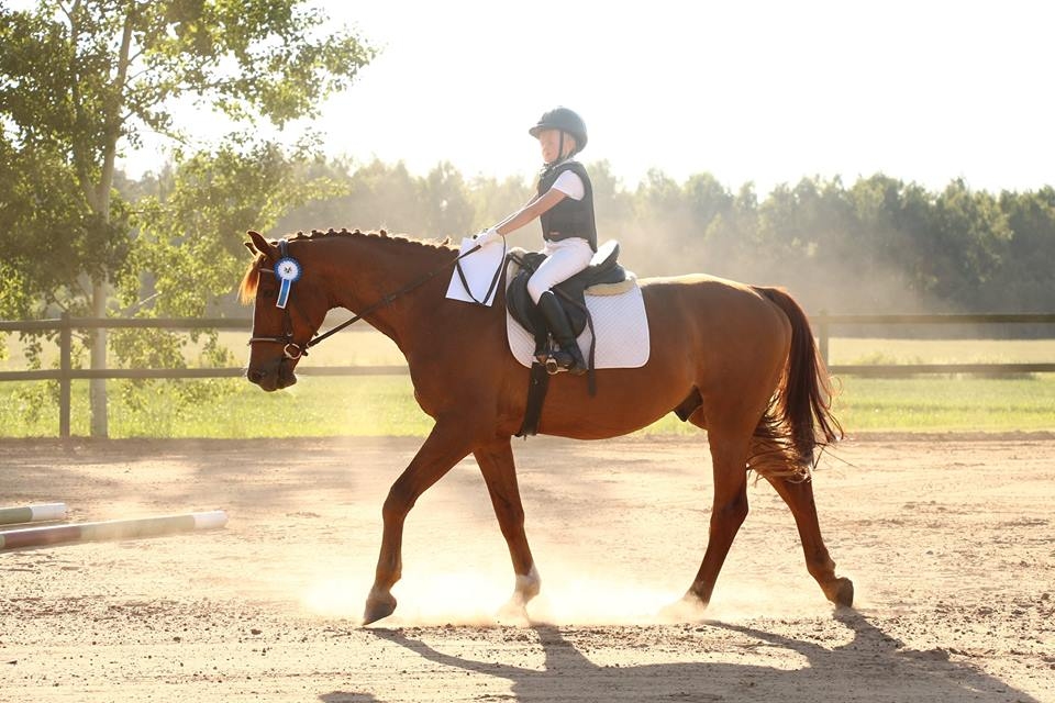 Jaunie sportisti krāj jāšanas pieredzi gan sacīkstēs, gan vasara nodarbībās.
Autors: No albuma.