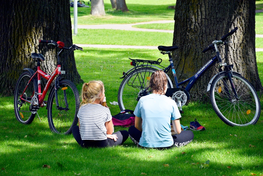 Likumā «Par pašvaldībām» nav teikts, ka pašvaldībai noteikti jāatbalsta un jāorganizē nometnes, taču tur rakstīts, ka vietvarai jānodrošina bērnu interešu aizsardzība. Bērna interesēs ļoti svarīgi būtu palīdzēt viņam vasaru pavadīt interesanti un droši.
Autors: Ivars Bogdanovs