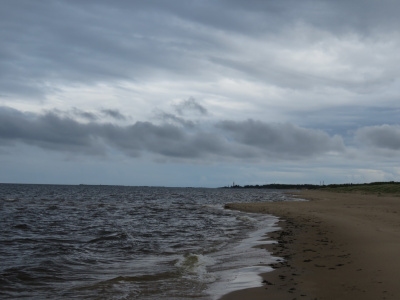 Autors: wordpress.com