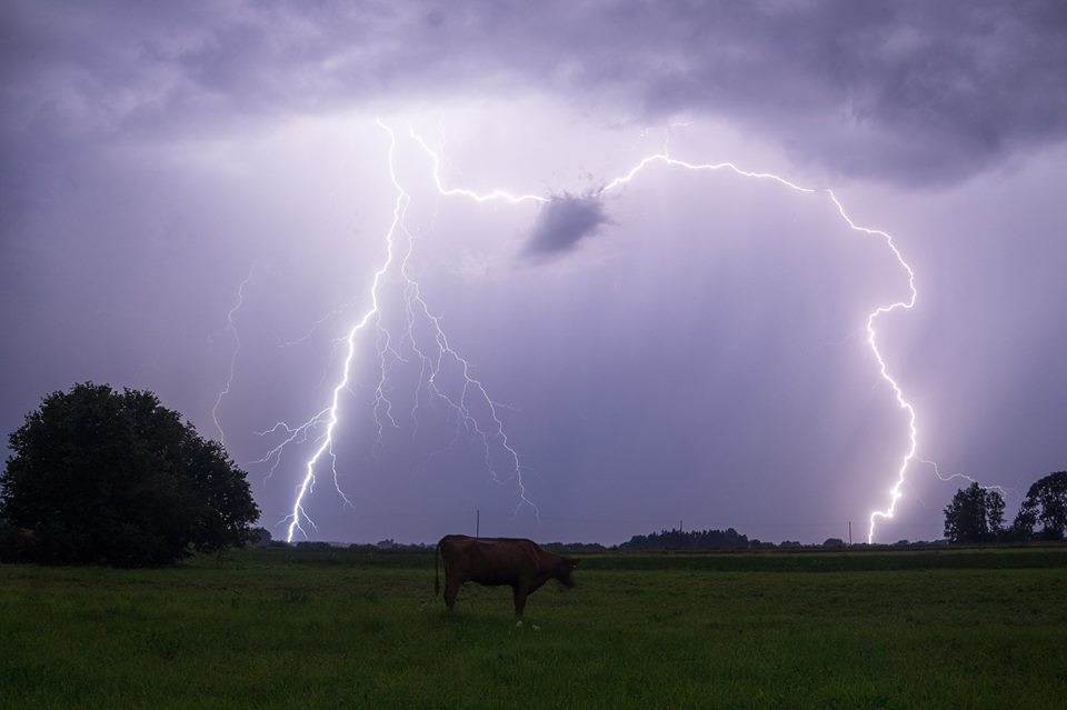 Autors: Jānis Paļulis