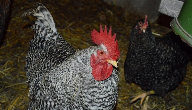 Fotoattēlam ilustratīva nozīme.
Autors: skaties.lv